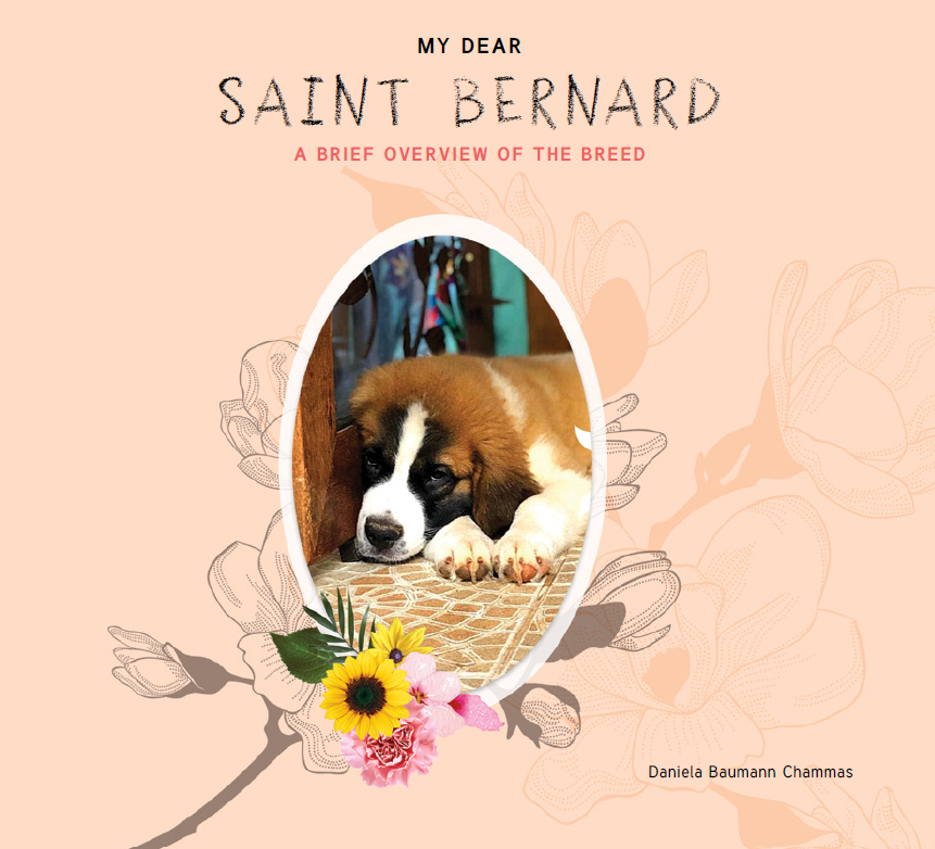 My Dear Saint Bernard: A Brief Overview of the Breed